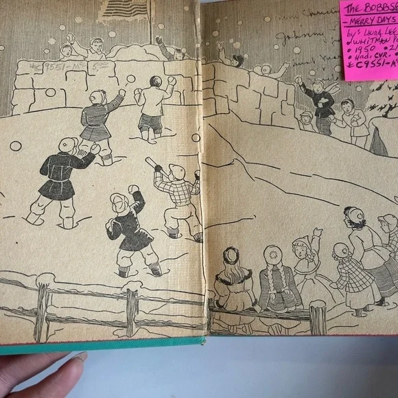 The Bobbsey Twins Book